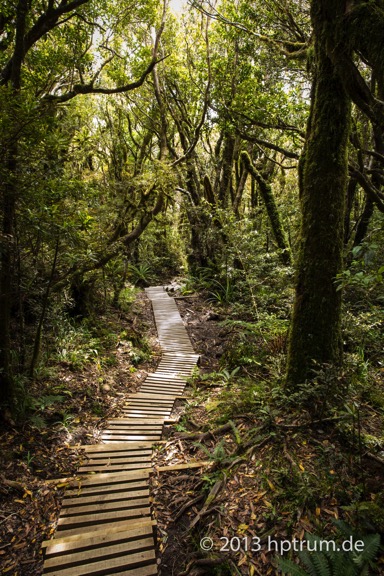 Taranaki-3005