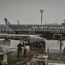 NZPano2011-53.jpg