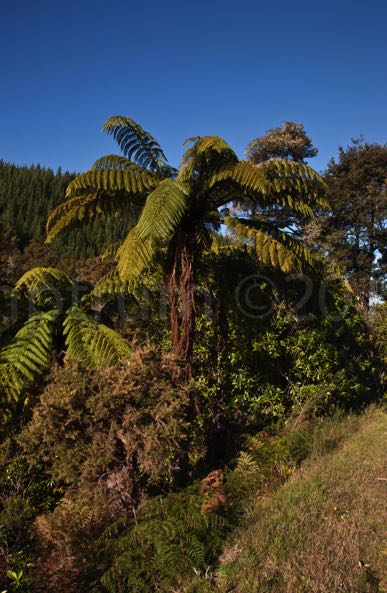 AbelTasman-GoldenBay-41