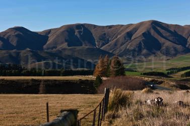 Across Burke Pass-6309