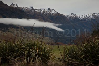 ToWanaka-5075